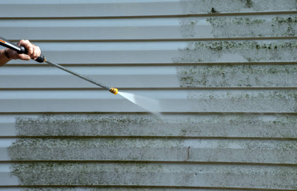 Best Fence Cleaning  in Rosamond, CA